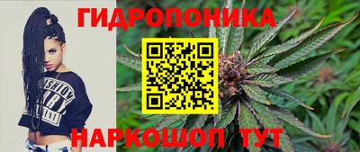 стаф Краснодар