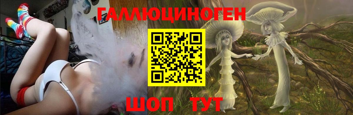 Псилоцибиновые грибы Psilocybine cubensis Кизляр